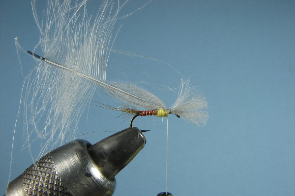 Wing tie in