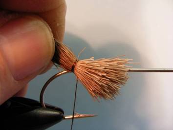 the Christmas Tree Fly