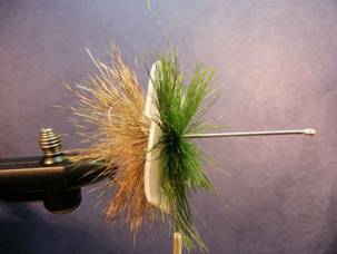 the Christmas Tree Fly