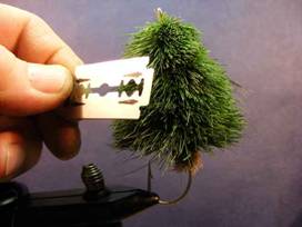 the Christmas Tree Fly
