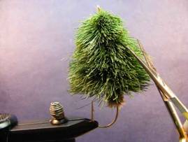 the Christmas Tree Fly