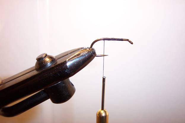 Fly of the week - GGC