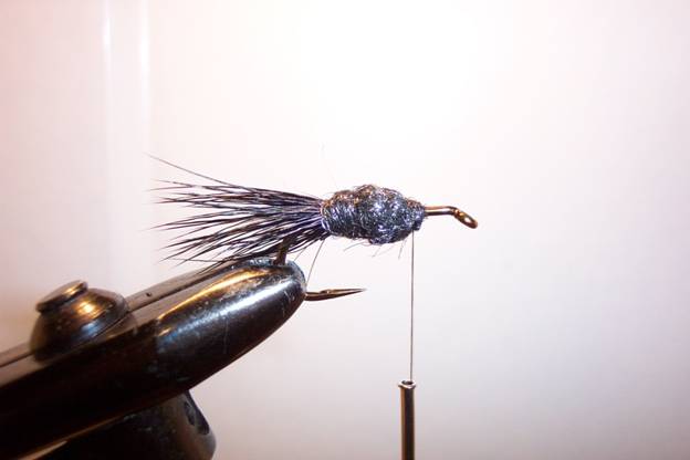 Fly of the week - GGC