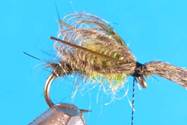 ..\..\O Emerger\Step 12.jpg