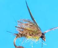..\..\O Emerger\Step 14.jpg