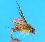 ..\..\O Emerger\Step 16.jpg