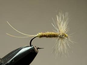 Fly of the Week - Easy Hex