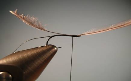 Fly of the week - Gray squirrel and dun flymph