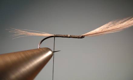 Fly of the week - Gray squirrel and dun flymph