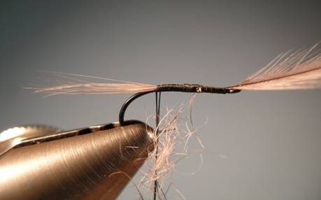 Fly of the week - Gray squirrel and dun flymph