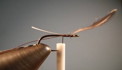 Baillies Spiders - Fly of the Week