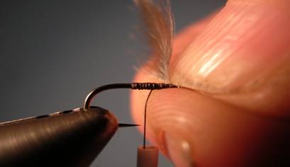 Baillies Spiders - Fly of the Week