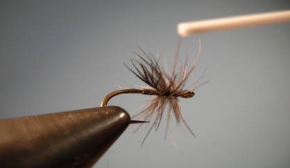Baillies Spiders - Fly of the Week