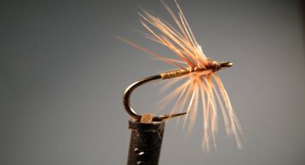 Baillies Spiders - Fly of the Week