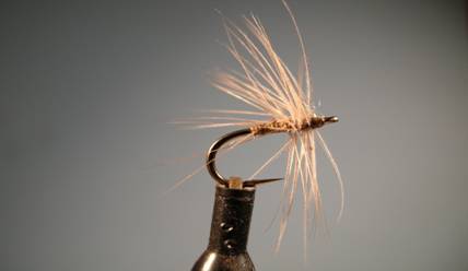Baillies Spiders - Fly of the Week