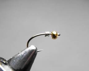 fly of the week - December 28, 2009