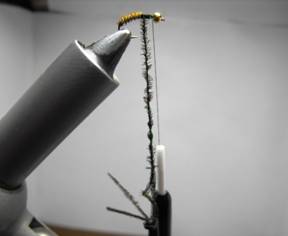 fly of the week - December 28, 2009