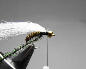 fly of the week - December 28, 2009