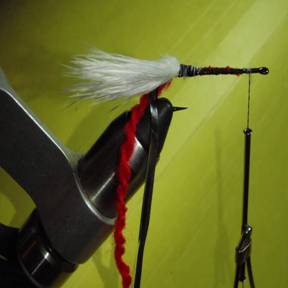 Tinsel Fly - Fly of the Week