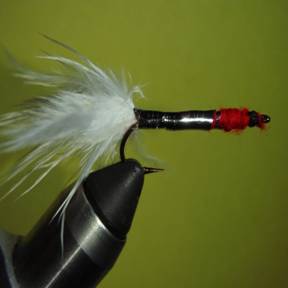 Tinsel Fly - Fly of the Week