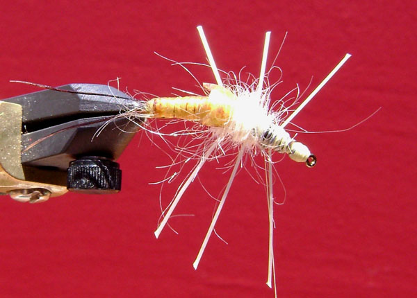 Fly of the Week - Feb 1 2010 - Marcelo Malventano