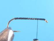 fly of the week - February 22, 2010