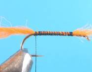 fly of the week - February 22, 2010