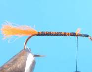 fly of the week - February 22, 2010