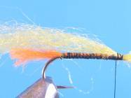 fly of the week - February 22, 2010