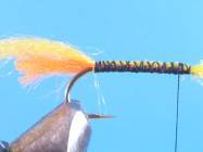 fly of the week - February 22, 2010