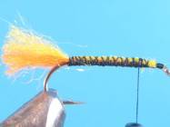 fly of the week - February 22, 2010