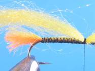 fly of the week - February 22, 2010