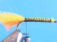 fly of the week - February 22, 2010