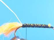 fly of the week - February 22, 2010