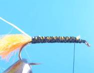 fly of the week - February 22, 2010