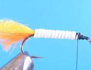 fly of the week - February 22, 2010
