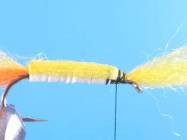 fly of the week - February 22, 2010