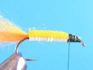 fly of the week - February 22, 2010