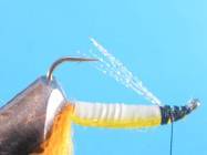 fly of the week - February 22, 2010