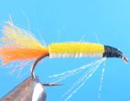 fly of the week - February 22, 2010