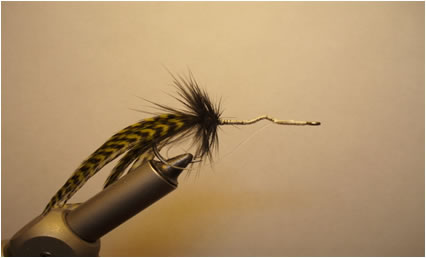 Fly of the Week - Flyanglersonline.com - March 1, 2010