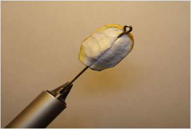 Fly of the Week - Flyanglersonline.com - March 1, 2010