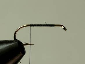 Fly of the week - Flyanglers Online - March 8, 2010