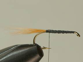 Fly of the week - Flyanglers Online - March 8, 2010