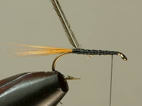 Fly of the week - Flyanglers Online - March 8, 2010