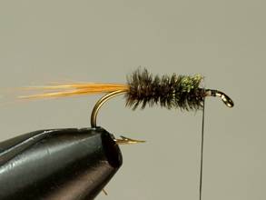 Fly of the week - Flyanglers Online - March 8, 2010