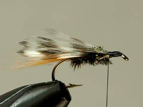 Fly of the week - Flyanglers Online - March 8, 2010