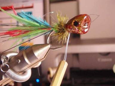 Fly of the Week - Flyanglers Online - March 15, 2010