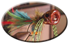 Fly of the Week