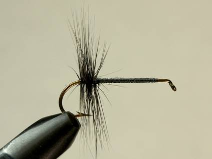 Fly of the week - Flyanglers Online - March 22, 2010